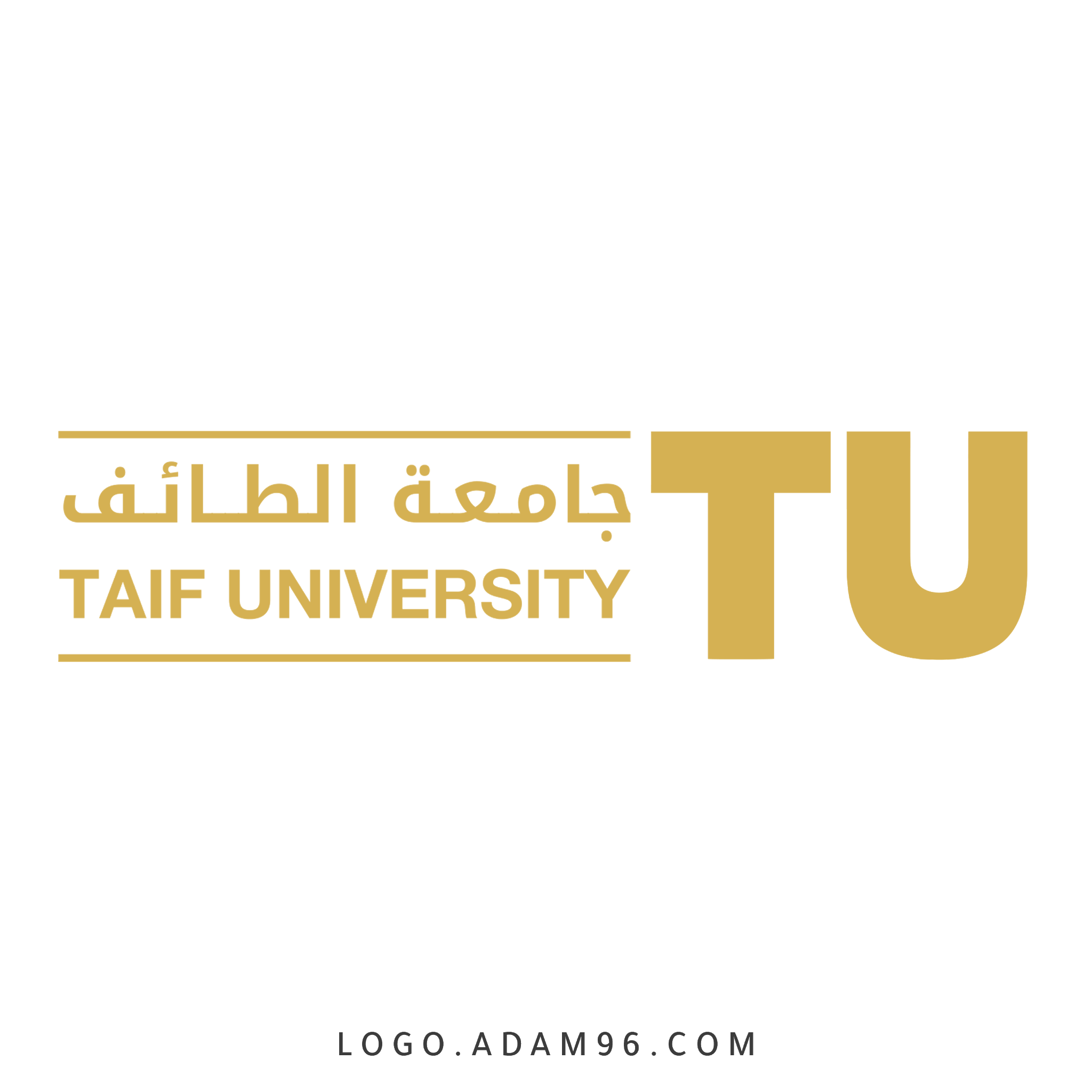 جامعة الطائف